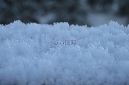 冰晶体,雪,霜