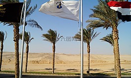 埃及,沙,沙漠