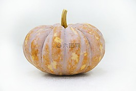南瓜