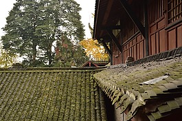 青城山,青苔,瓦房