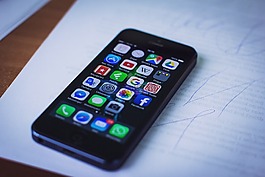 亲子科半岛综合体育注册普手工建造丰硕暑假糊口