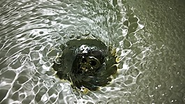 水,洗脸盆,排水