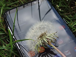 性质,技术,移动电话