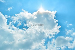 太阳,蕨,太阳之光