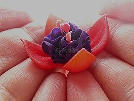 少数,花卉,耳环