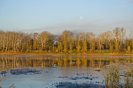 河,第一,西伯利亚