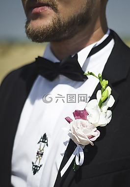 婚礼,花,孕育