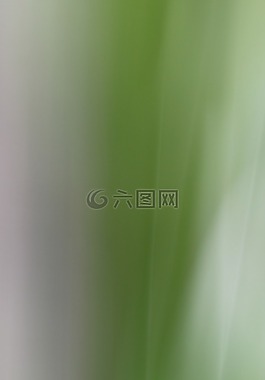 背景,心情,创造力