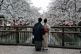日本,服,日本甜心