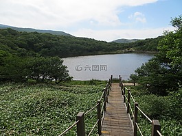 济洲岛,韩国,网站