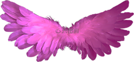 天使,翅膀,羽毛