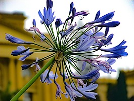 纪念碑,博物馆,旅游