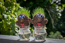草,俑,花瓶