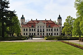 kozłówka,公园扎莫希奇,观赏植物