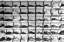 学校丁,运动鞋,鞋