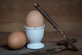 蛋,鸡鸡蛋,褐壳蛋