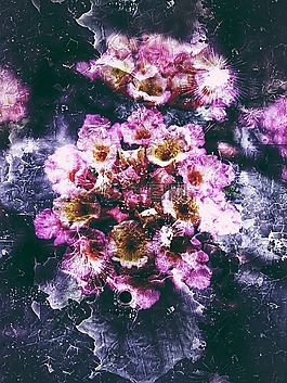 创意,花的,弗洛尔