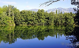 湖,亮点,水