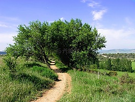 汉森,黄沙路,窄