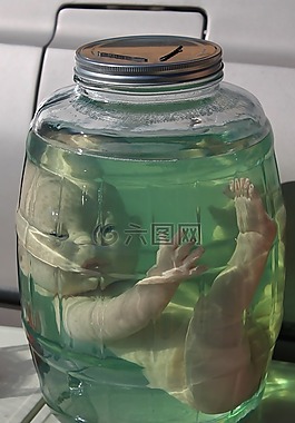 万圣节娃娃,闹鬼娃娃,拥有娃娃