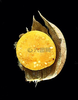 水果,扫描仪,成熟