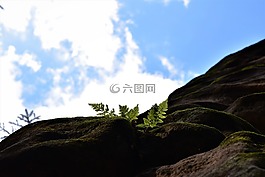 prachovské岩石,蕨菜,太阳