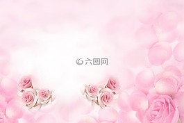 海报,背景,大图