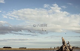 南美大草原,天空,字段