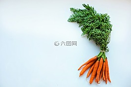 胡萝卜,食品,健康