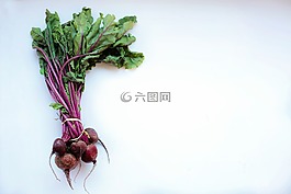 甜菜,食品,健康