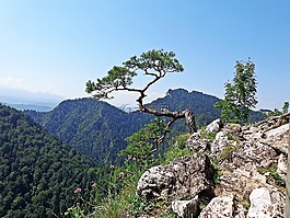 山,景观,线索
