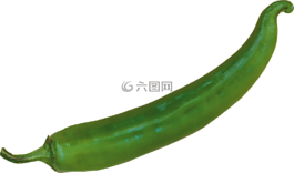 胡椒,辣椒,绿色