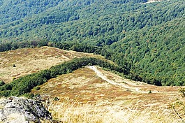 bieszczady,połonina,山