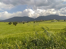 场,绿色,山云