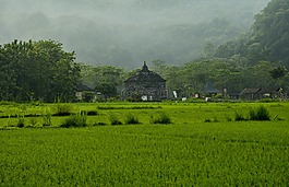 自然景观,banyunibo寺庙遗产,寺历史米