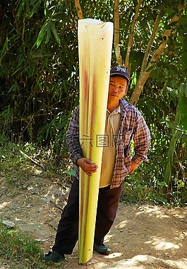农业工作者,香蕉根,泰国
