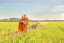 พระ,佛教。,信念