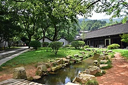 scene,tree,garden