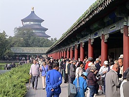 田田公园,纸牌游戏,播放