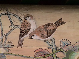鸟类,麻雀,天顶画