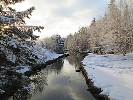 培,冬天,雪