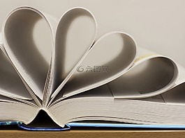 本书,页,纸