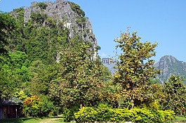 老挝,万荣,救济