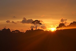 日落,晚上,景观