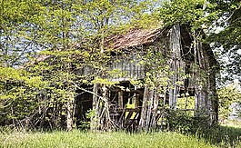 谷仓,烤房,乡村