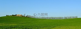 托斯卡纳,柏树,农家
