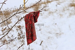 围巾,失去了,忘记了