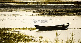 水,bot,自然