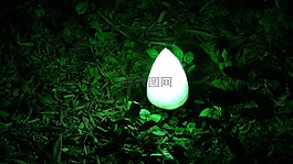 竹青,竹,史顺天府使