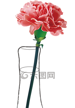 康乃馨,花瓶,向量